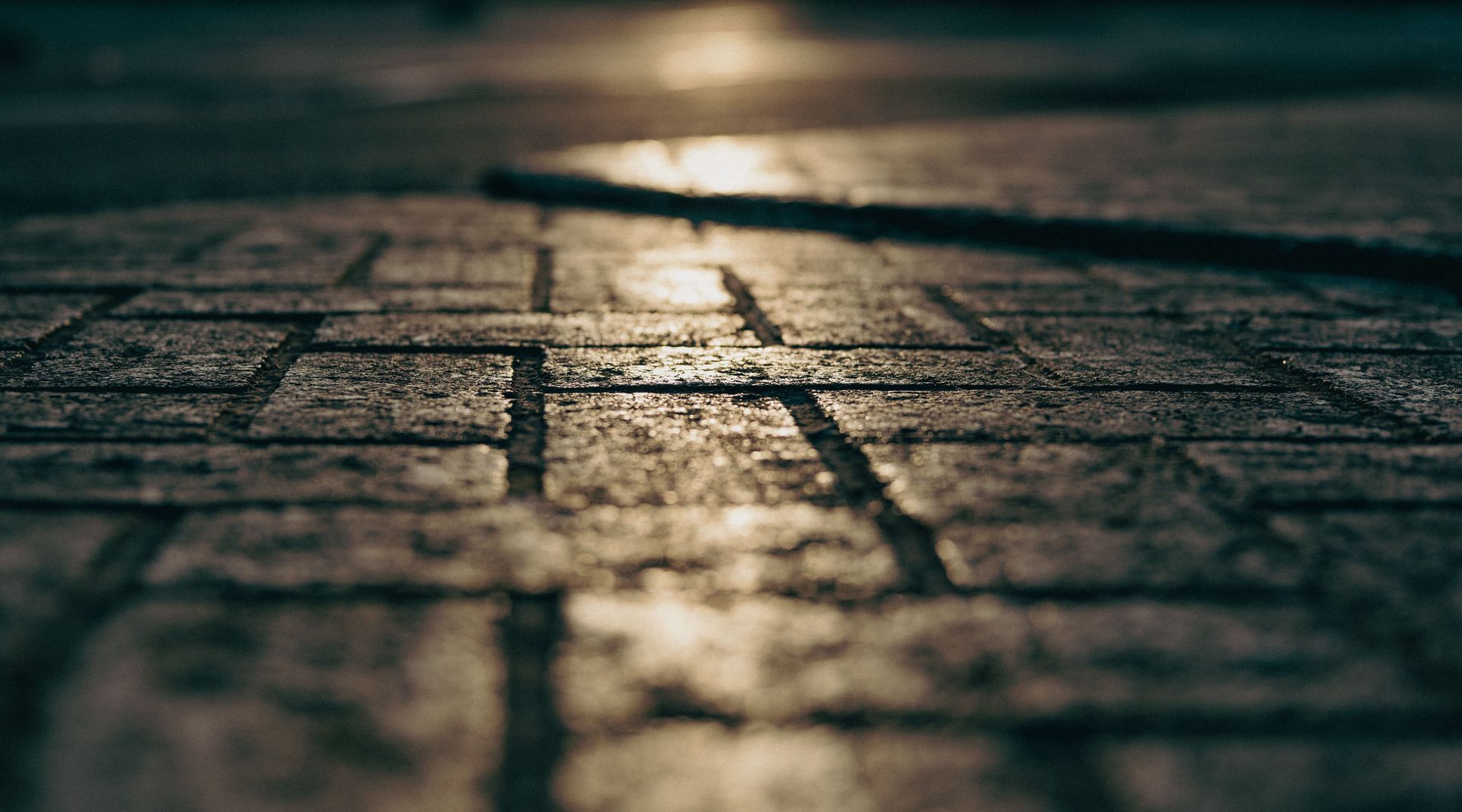 A detailed close-up of sunlit pavement showcasing texture and depth in selective focus.